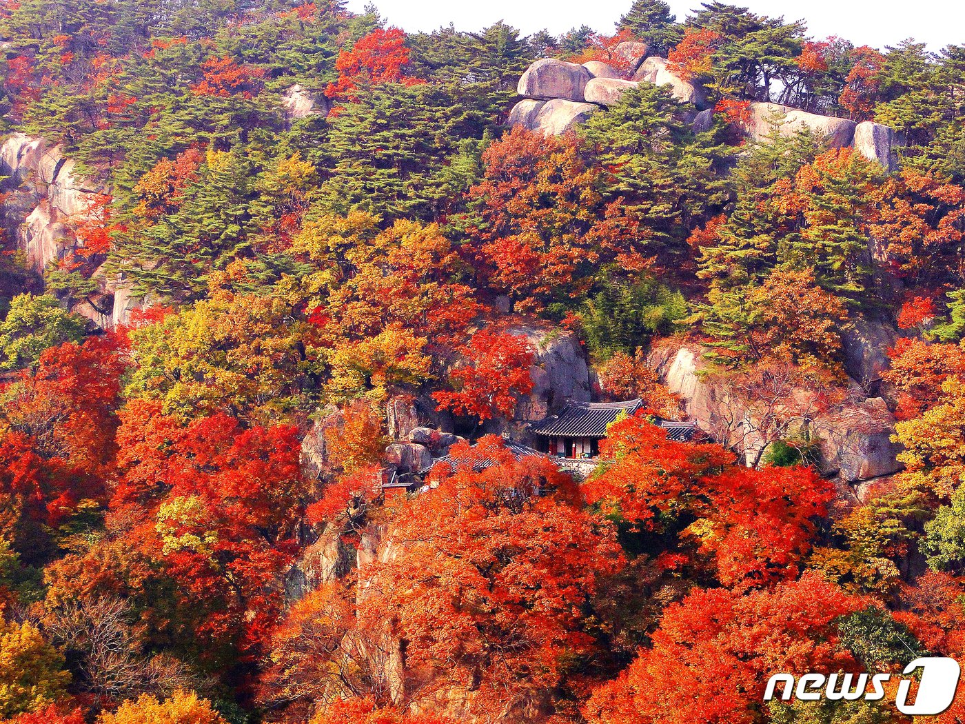 영천시 은해사 중앙암 단풍 &#40;영천시 제공&#41; 2022.10.27/뉴스1