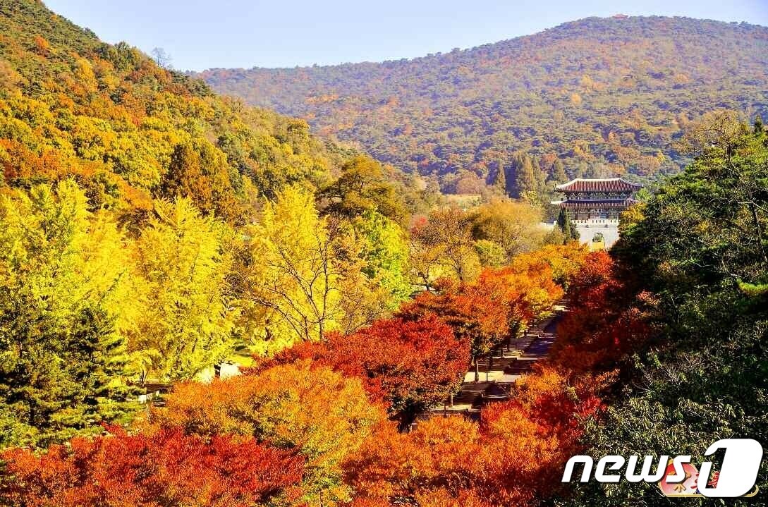본문 이미지 - (평양 노동신문=뉴스1) = 북한 노동당 기관지 노동신문은 28일 "수도의 아름다운 가을 풍경"이라면서 단풍으로 물든 평양 일대의 사진을 공개했다. [국내에서만 사용가능. 재배포 금지. DB 금지. For Use Only in the Republic of Korea. Redistribution Prohibited] rodongphoto@news1.kr