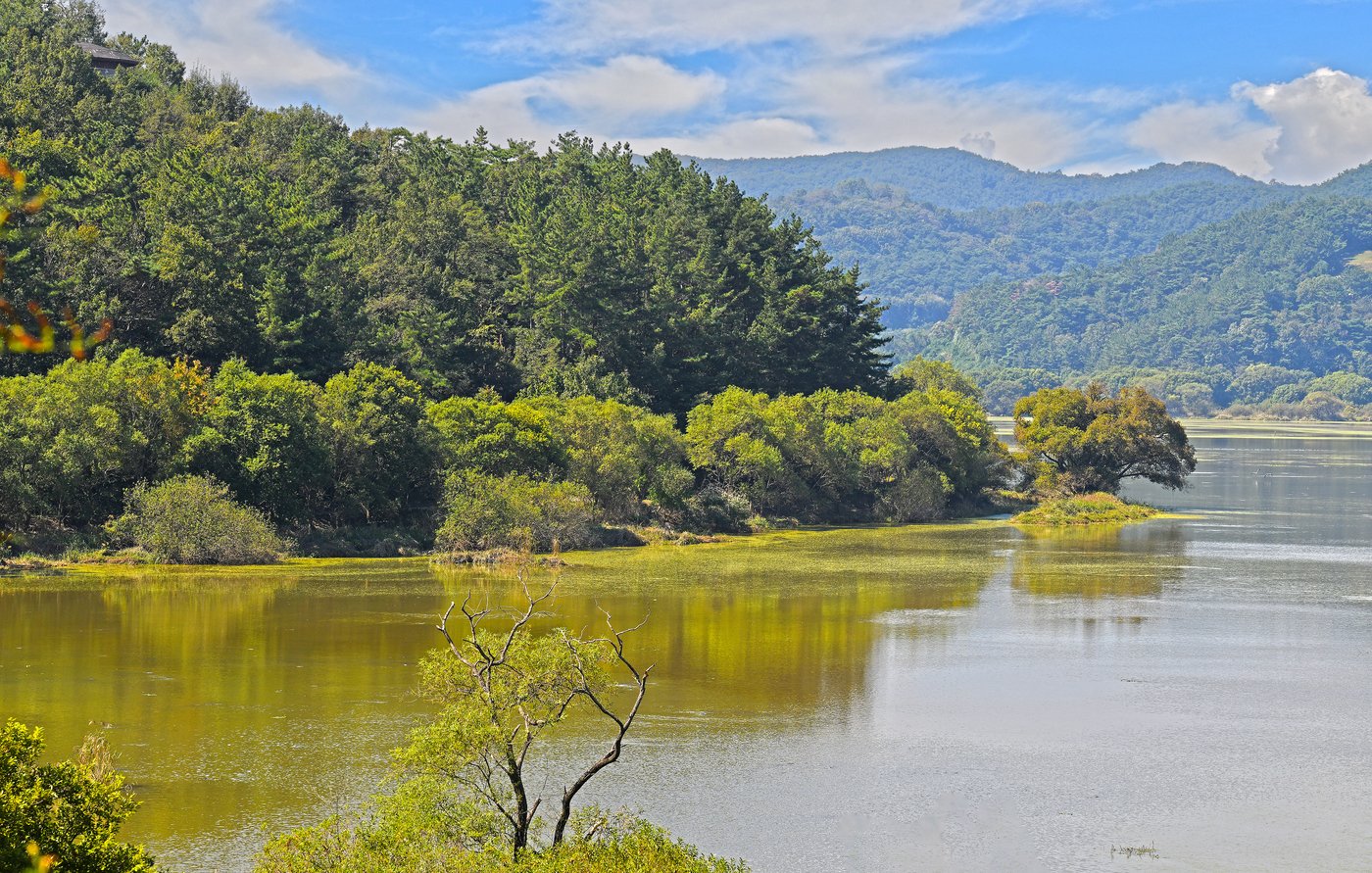 본문 이미지 - 우포늪의 늦가을 풍경&#40;한국관광공사 제공&#41;
