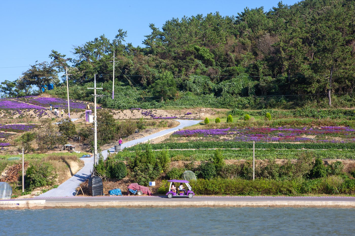 본문 이미지 - 전동카트 대여해 박지도 일주하기&#40;한국관광공사 제공&#41;