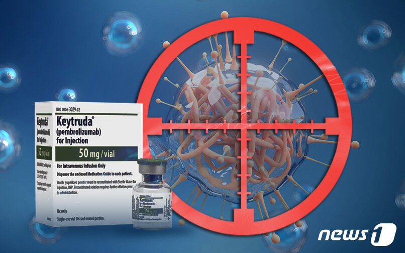 본문 이미지 - ⓒ News1 윤주희 디자이너