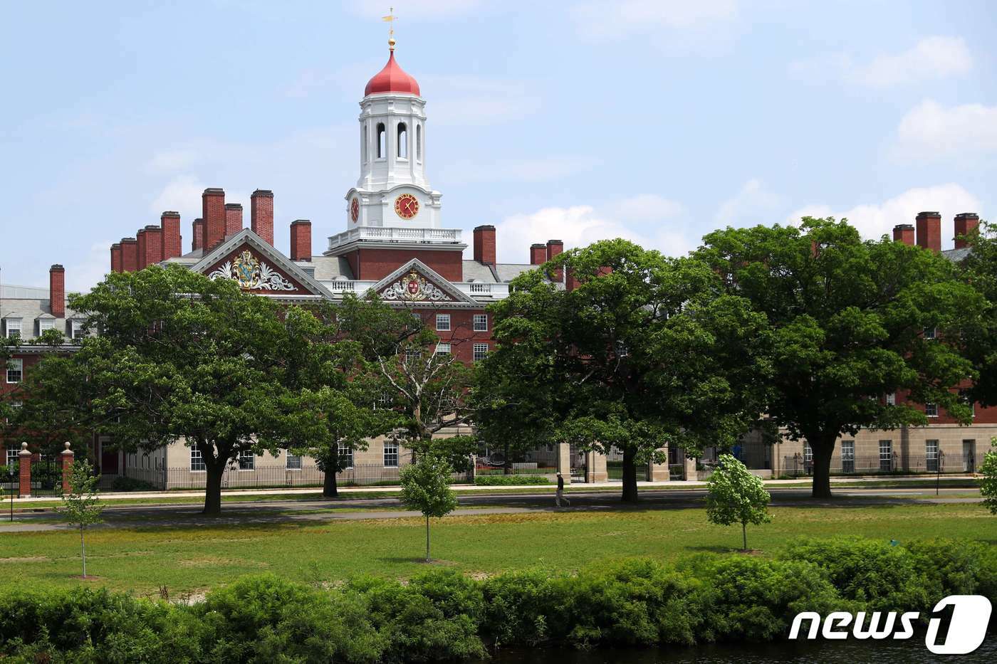 본문 이미지 - 미국 대표적 명문사학 아이비리그 하버드 교정. ⓒ AFP=뉴스1 ⓒ News1 이서영 기자