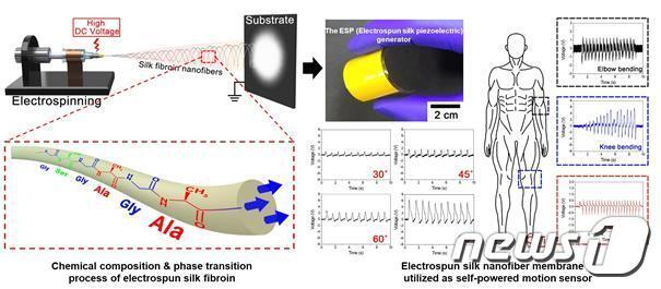 본문 이미지 - 전북대 정창규 교수팀이 개발한 누에고치실 이용한 동작 센서의 연구내용 요약 그림.(전북대 제공)/뉴스1
