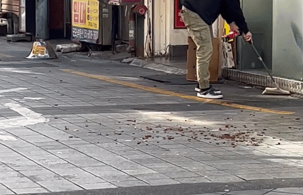 본문 이미지 - (온라인 커뮤니티 갈무리)