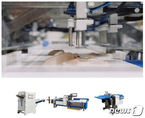 본문 이미지 - 샘헤지 필렛 머신(출처: 샘헤지 누리집 갈무리) 