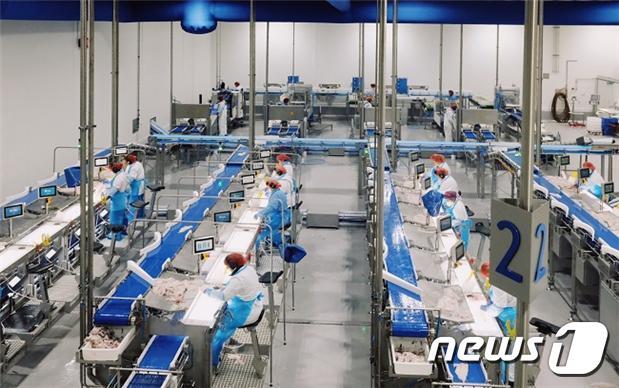 본문 이미지 - 샘헤지 필렛 자동화 라인(출처: 샘헤지 누리집 갈무리)     