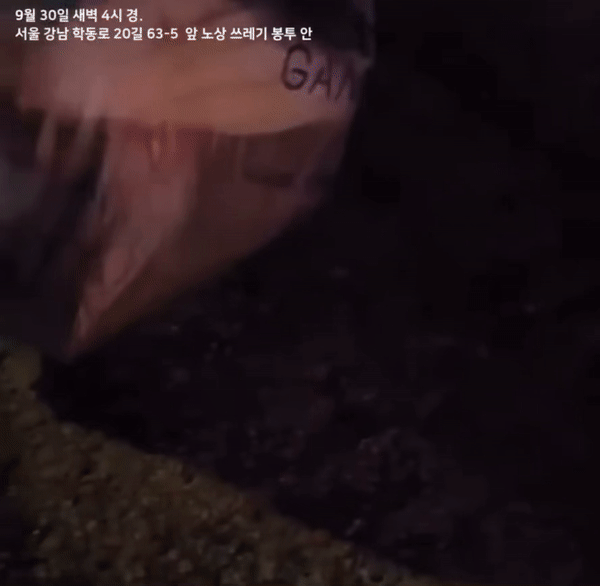 본문 이미지 - 서울 강남구 논현동에서 발견된 쓰레기봉투 속 새끼 강아지. (동물권단체 케어)