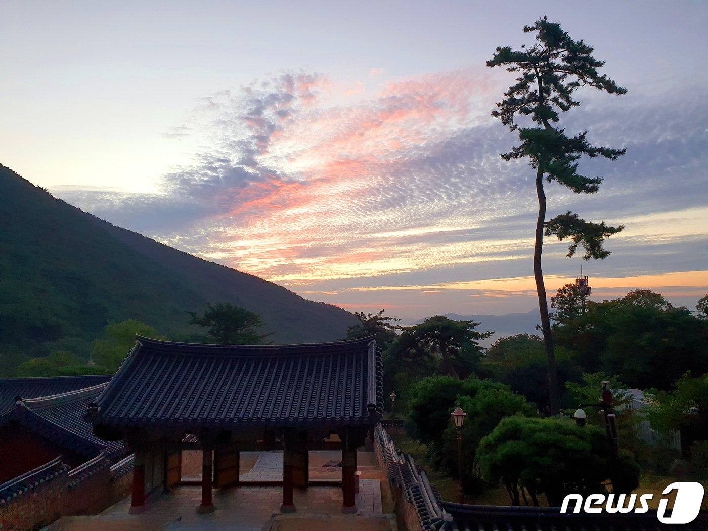 본문 이미지 - 범어사 불이문 위로 잿빛 하늘을 불그스레하게 물들이는 여명. 키다리 소나무와 어우러진 한국화 풍경이다.