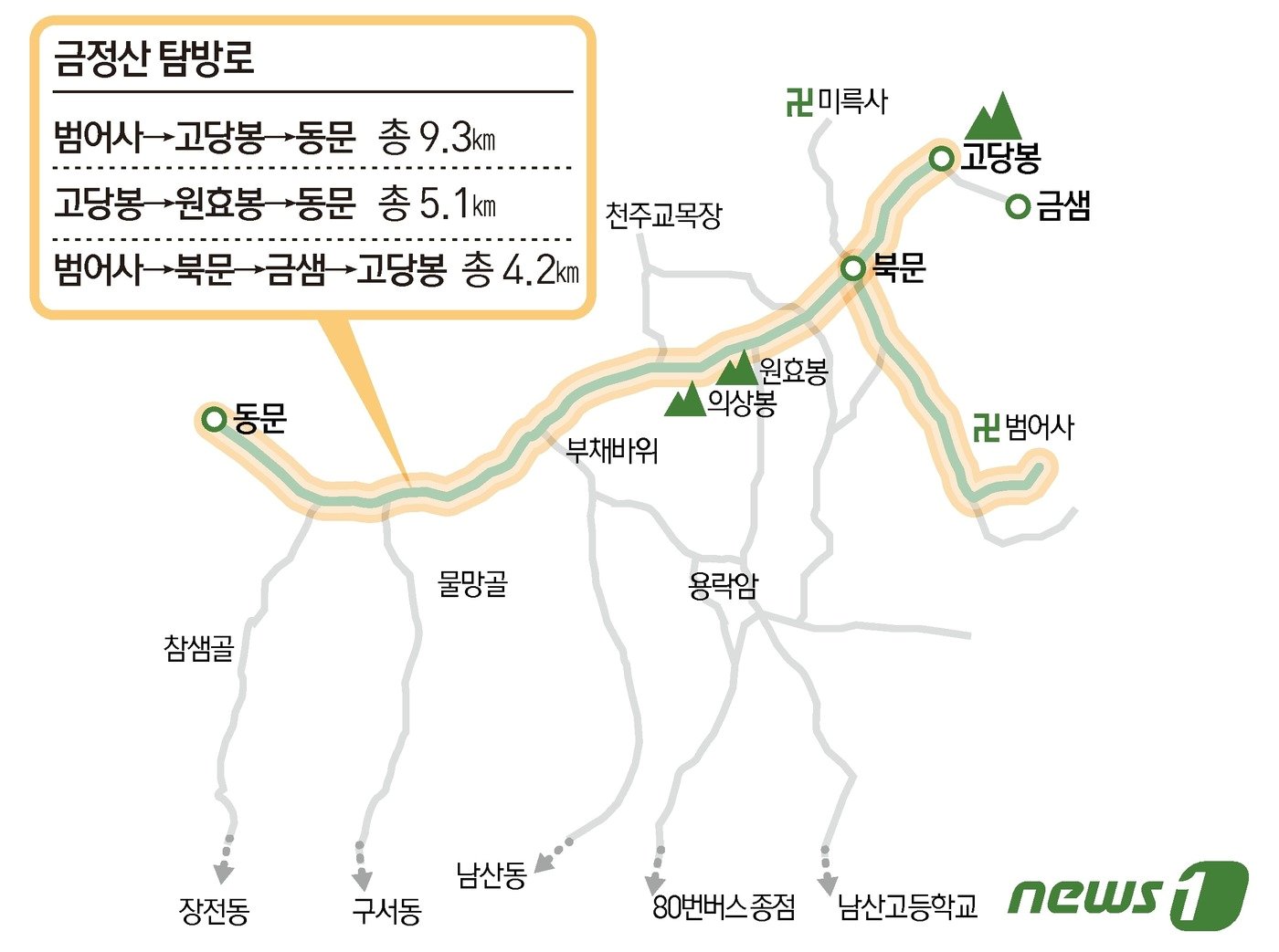 본문 이미지 - ⓒ News1 이지원 디자이너
