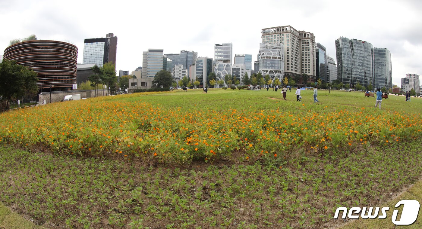 본문 이미지 - 6일 서울 종로구 경복궁 인근 송현동 부지에서 시민들이 산책을 즐기고 있다. 2022.10.6/뉴스1 ⓒ News1 송원영 기자