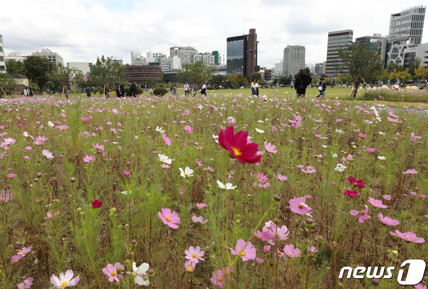 본문 이미지 - 6일 서울 종로구 경복궁 인근 송현동 부지에서 시민들이 산책을 즐기고 있다. 서울시는 '이건희 기증관' 건립이 본격적으로 착수되기 전인 2024년 상반기까지 3만6천642㎡ 규모의 송현동 부지 전체를 열린녹지광장으로 재조성해 시민들에게 개방한다. ‘송현 열린녹지광장’으로 이름 붙인 이곳은 1920년 일제 식민자본인 조선식산은행으로 소유권이 넘어간 지 102년 만에 시민 품으로 되돌아왔다. 2022.10.6/뉴스1 ⓒ News1 송원영 기자