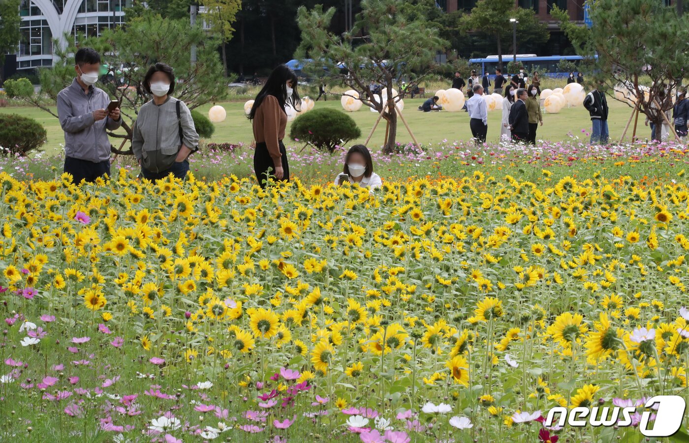 본문 이미지 - 6일 서울 종로구 경복궁 인근 송현동 부지에서 시민들이 산책을 즐기고 있다. 2022.10.6/뉴스1 ⓒ News1 송원영 기자