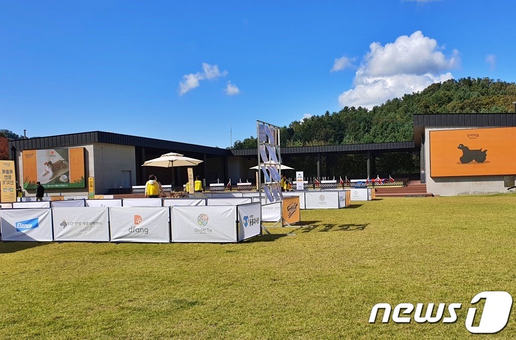 본문 이미지 - 8일 강원 춘천시 강아지숲 테마파크에서는 '2022 도그페스타'가 진행됐다. ⓒ 뉴스1 최서윤 기자