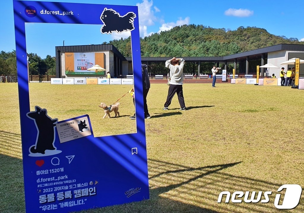 본문 이미지 - 8일 강원 춘천시 강아지숲 테마파크에서는 '2022 도그페스타'가 진행됐다. ⓒ 뉴스1 최서윤 기자