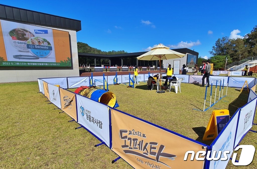 본문 이미지 - 8일 강원 춘천시 강아지숲 테마파크에서는 '2022 도그페스타'가 진행됐다. ⓒ 뉴스1 최서윤 기자