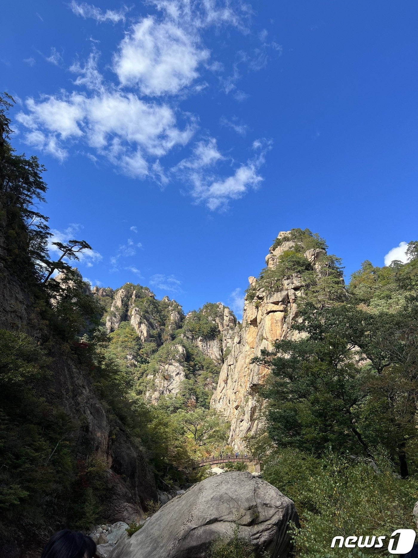 본문 이미지 - 설악산국립공원 오색지구 흘림골 일대 자료사진.