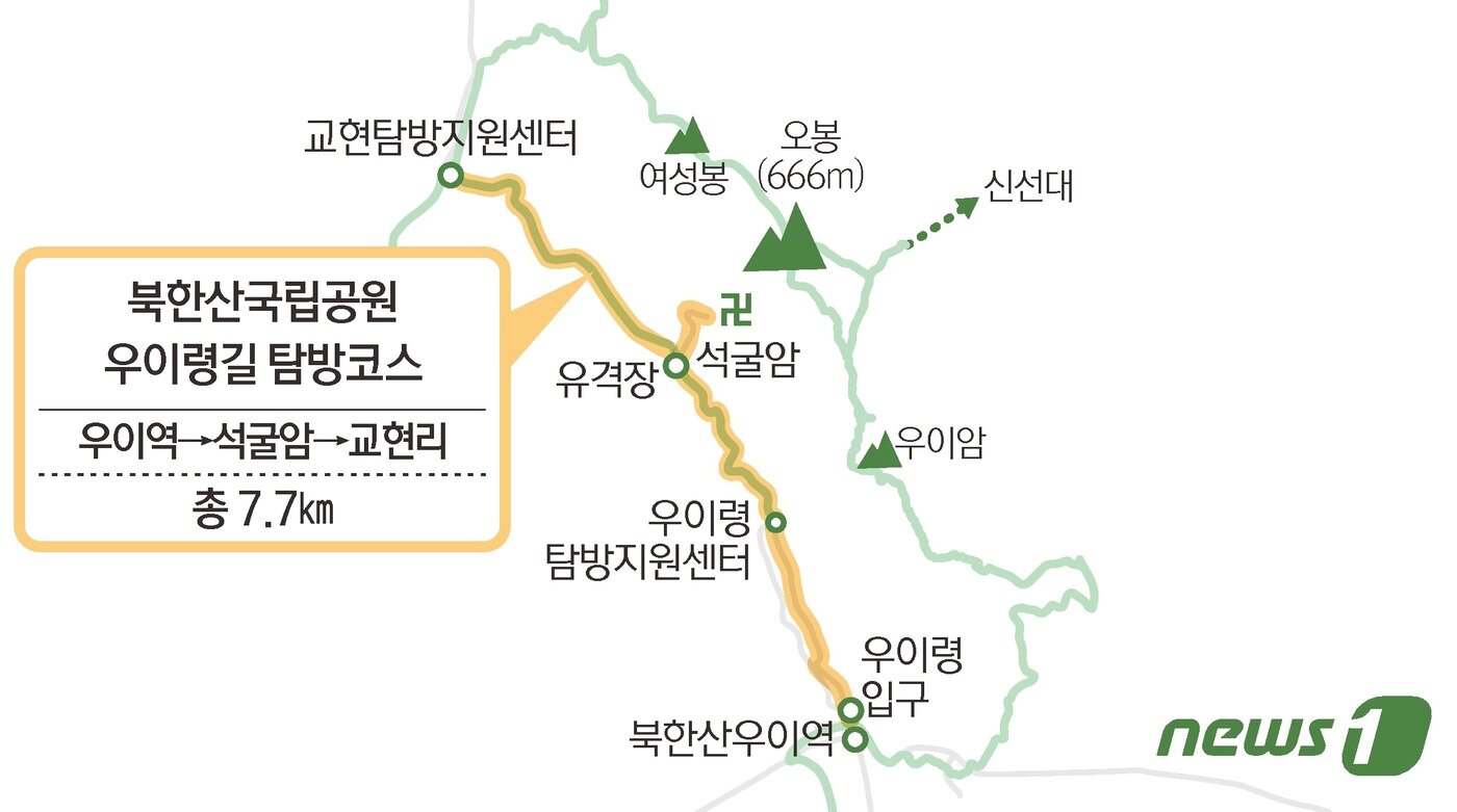 본문 이미지 - ⓒ News1 김초희 디자이너