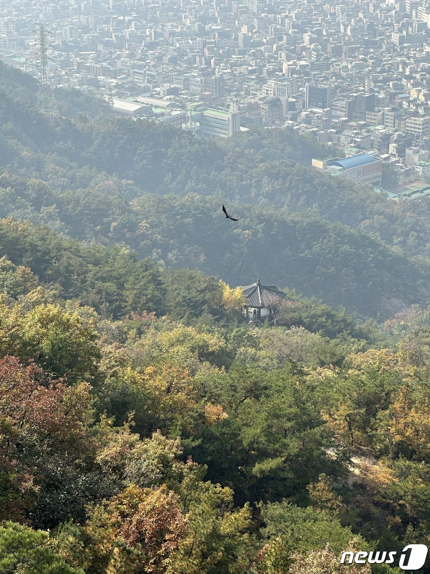 본문 이미지 - 아이폰14 프로 망원 카메라로 촬영한 풍경 2022.11.11/뉴스1 ⓒ News1 이기범 기자
