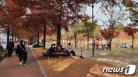 대전 엑스포 시민 공원에 시민들이 나들이를 나온 모습.  2022.11.12 /뉴스1 허진실기자 