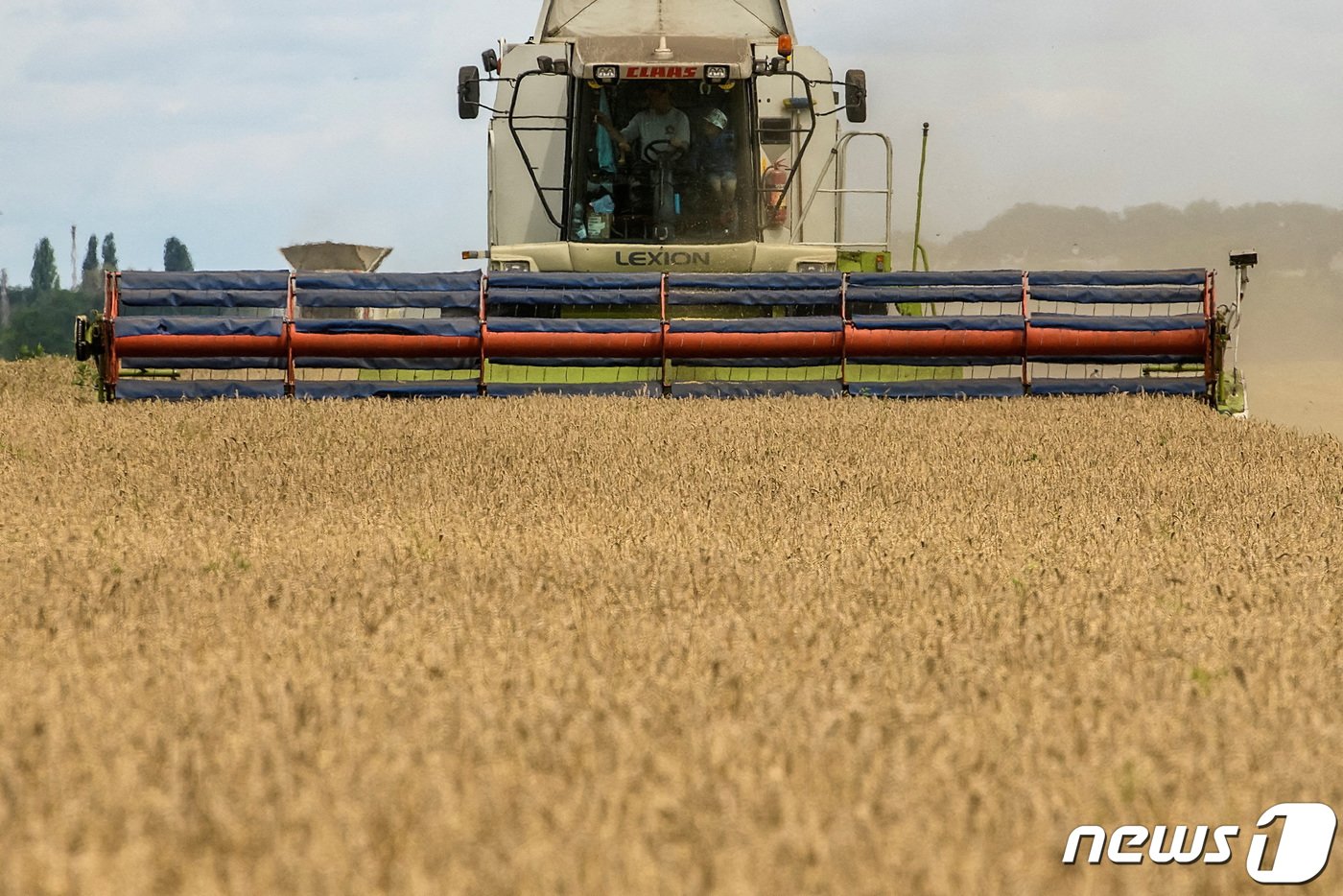 본문 이미지 - 지난해 8월9일(현지시간) 우크라이나 키이우 인근 즈구리우카 마을의 한 밭에서 농민이 콤바인으로 밀을 수확하고 있다. 2022.08.09/뉴스1 ⓒ 로이터=뉴스1 ⓒ News1 김민수 기자