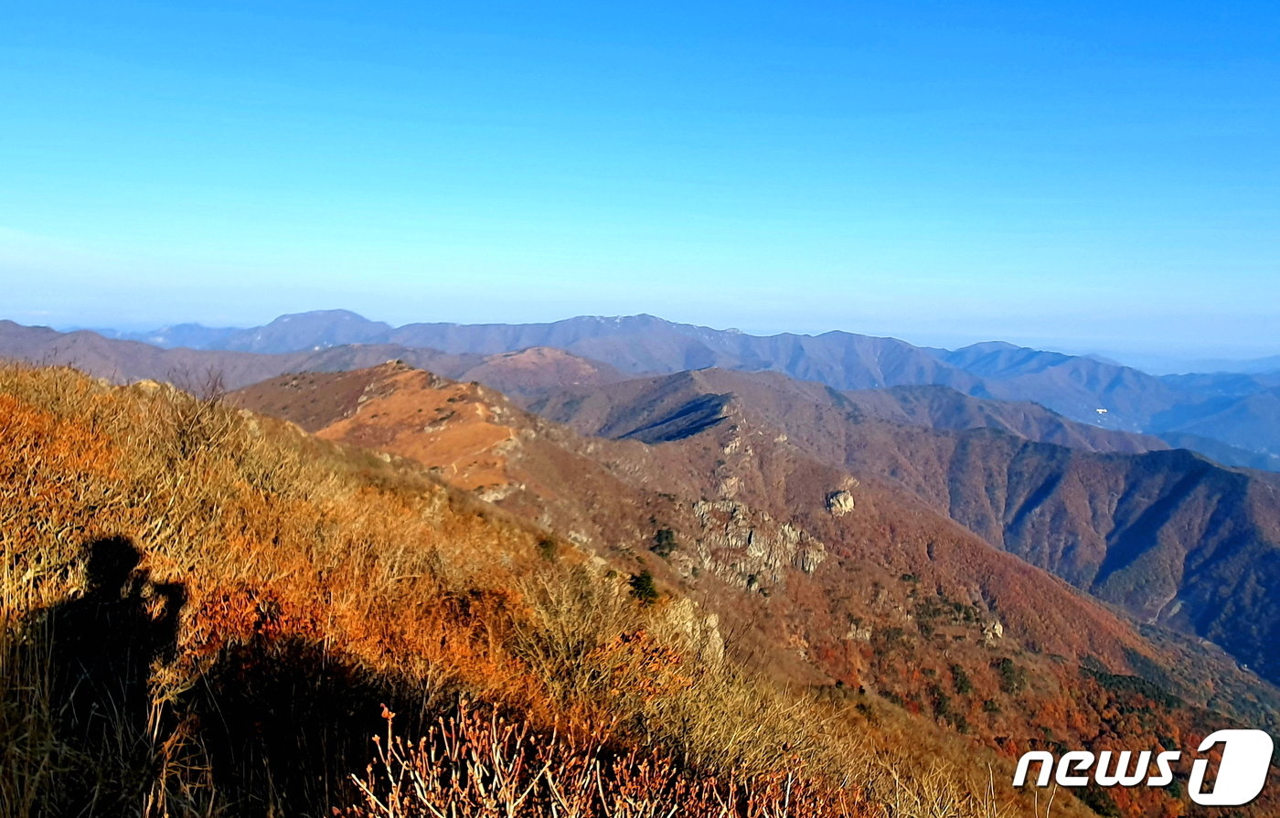 신불산에서 바라본 낙동정맥. 오른쪽 멀리 고헌산에서 가운데 가지산으로 이어진 능선이 이곳 영남알프스로 뻗었다. 멀리 왼쪽은 운문산.