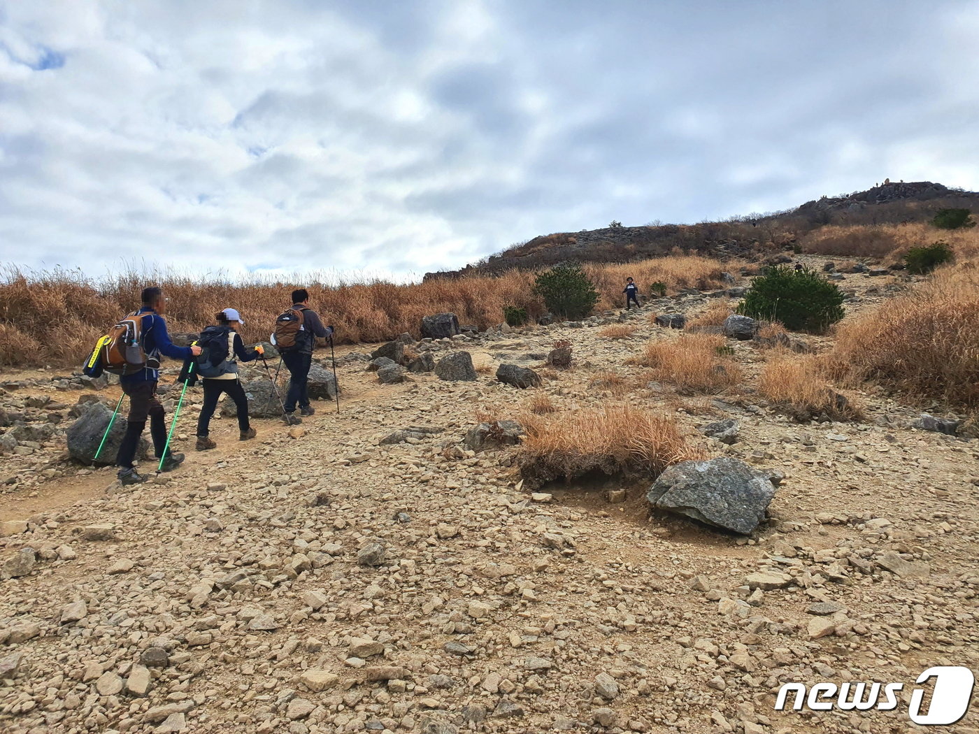 영축산에 난 상처. 폭 10m, 길이 약 1㎞의 방화선&#40;防火線&#41; 자갈길. 어서 복원해주기 바란다.