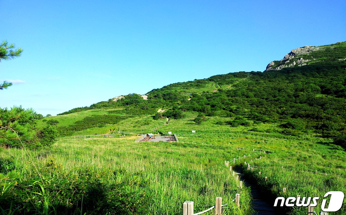 본문 이미지 - 재약산 아래 사자평원의 여름. 영남알프스에서 가장 넓은 억새밭이 펼쳐져 있다.