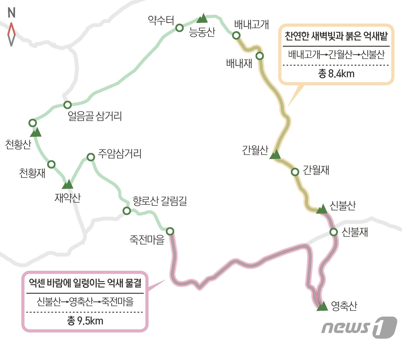 본문 이미지 - ⓒ News1 최수아 디자이너