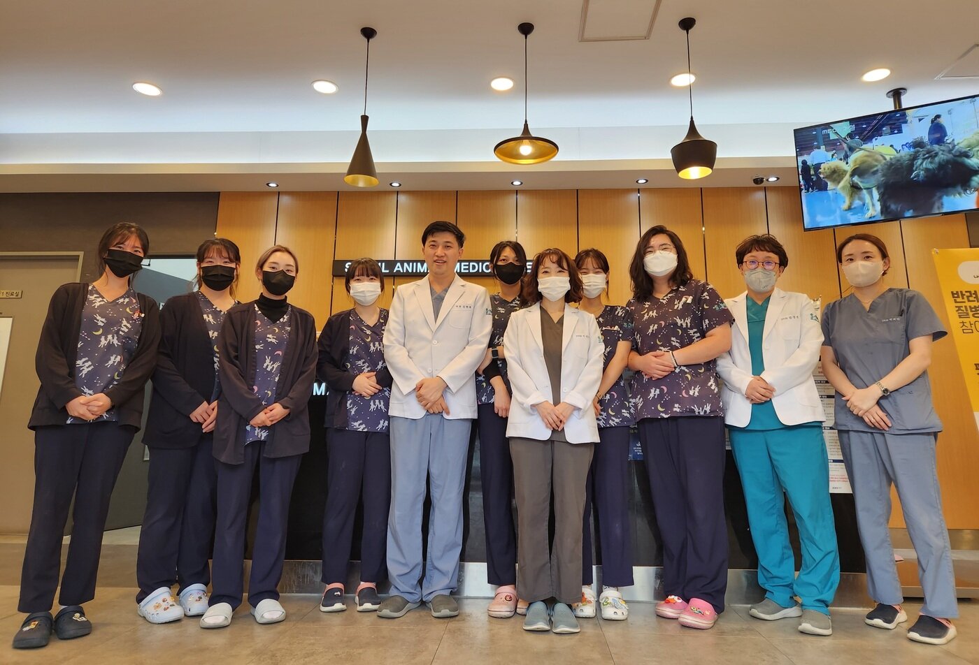 본문 이미지 - 건국대와 엔딕은 서울동물메디컬센터와 함께 함초 등 성분을 넣은 고양이 사료에 대한 기호성과 유효성 시험을 진행했다.(엔딕 제공)