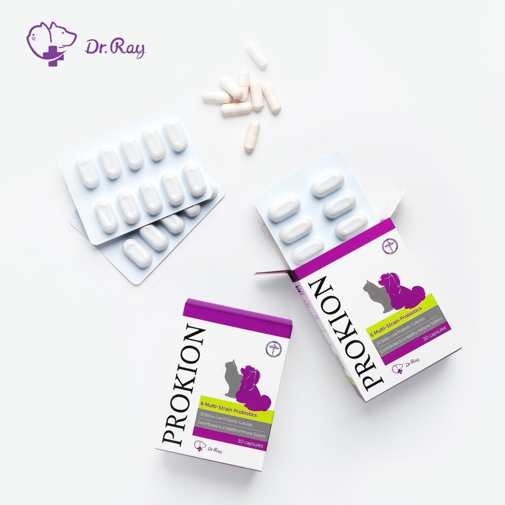 본문 이미지 - 프로키온 제품(한국반려동물영양연구소 제공)