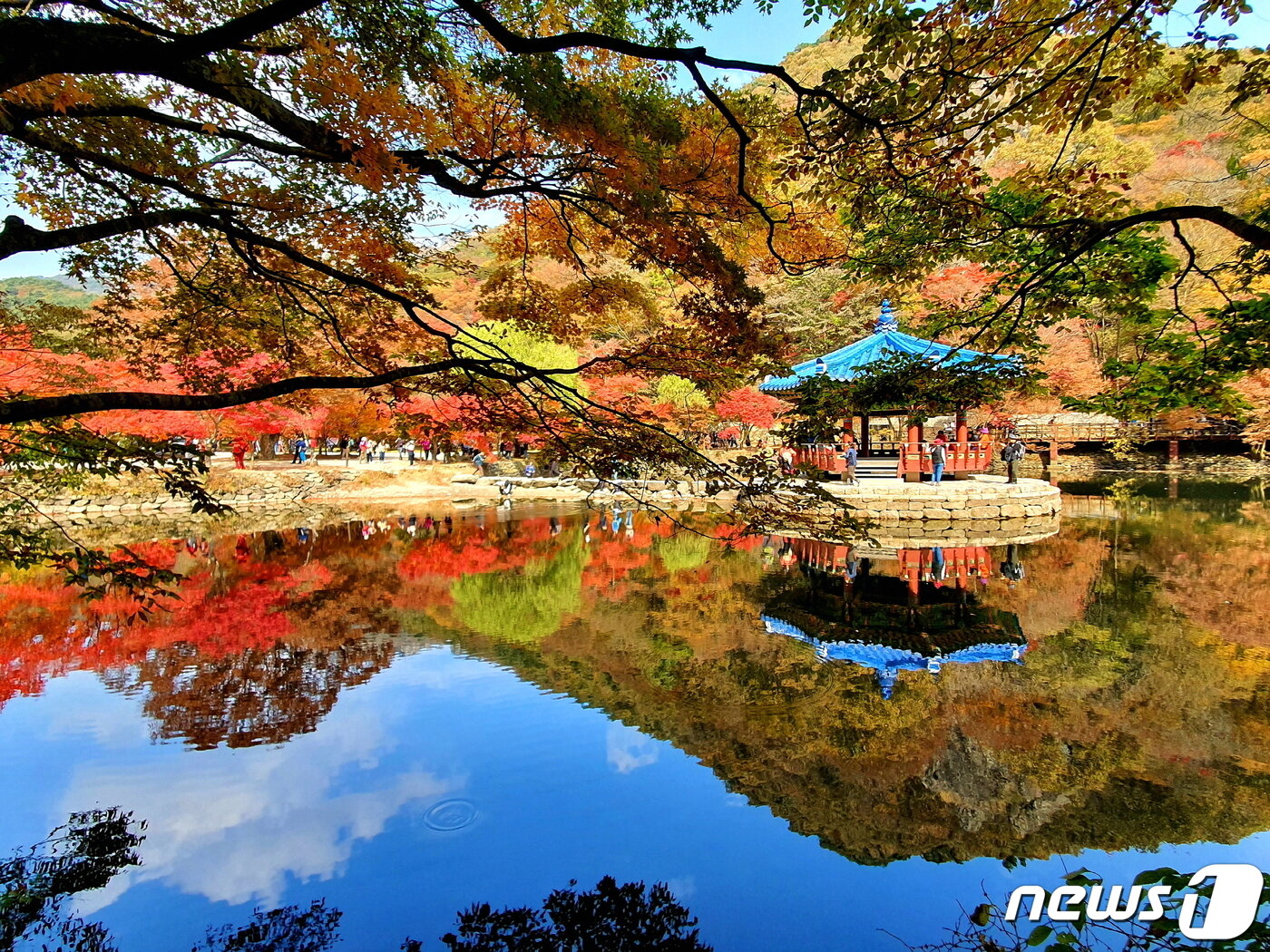 본문 이미지 - 우화정의 가을 낭만. 내장산의 모든 풍경이 이리 모여 연못에 들어가 그림이 되었다.