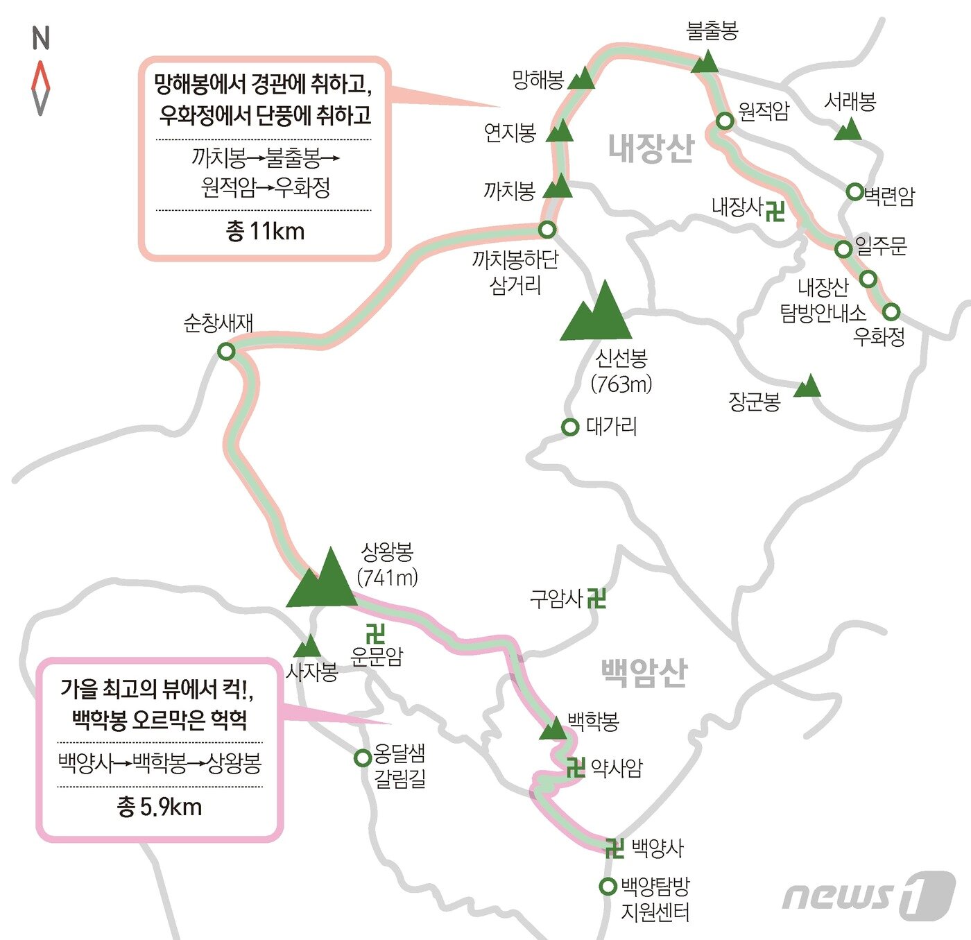 본문 이미지 - ⓒ News1 윤주희 디자이너