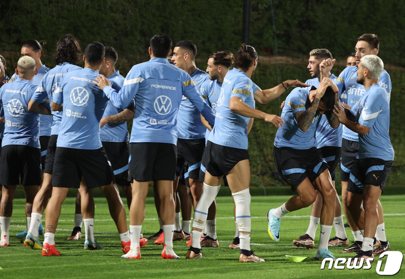 본문 이미지 - 우루과이 축구대표팀 선수들이 19일(현지시간) 오후 카타르 도하 알 에르살 트레이닝센터에서 훈련하고 있다. 2022.11.20/뉴스1 ⓒ News1 이동해 기자