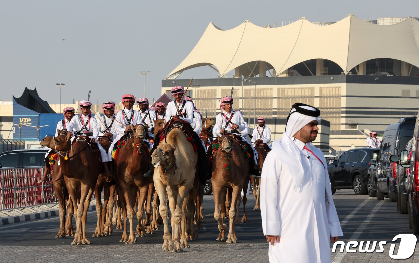 본문 이미지 - 2022 카타르 월드컵 개막식을 앞둔 20일(현지시간) 카타르 알코르 알베이트 스타디움 입구에 낙타를 탄 남성들이 도열해 손님맞이를 하고 있다. 2022.11.20/뉴스1 ⓒ News1 이동해 기자