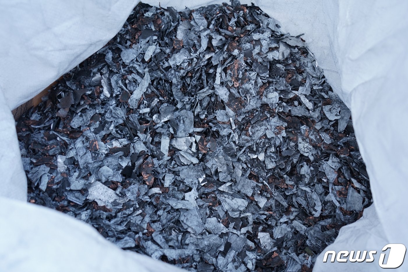 본문 이미지 -  (영풍그룹 제공)