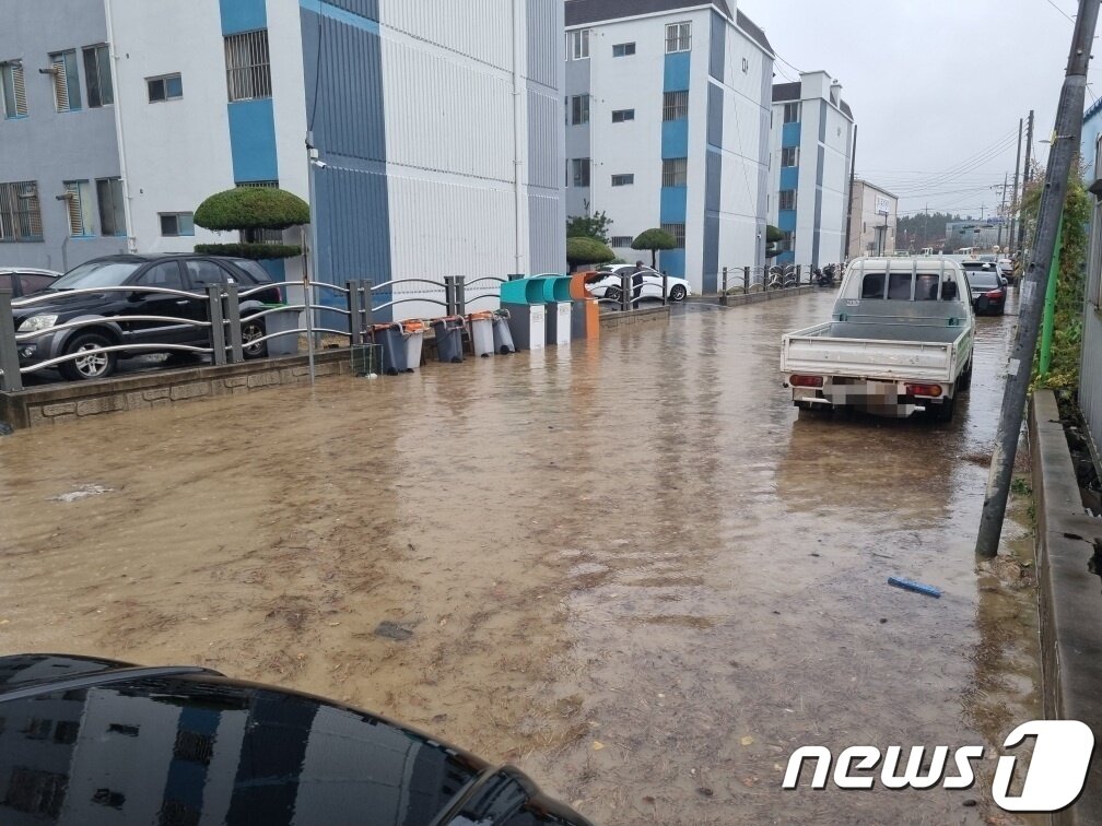 본문 이미지 - 22일 오후 경북 포항시 남구 청림동 일대가 국지성 호우에 침수되어 있다. &#40;포항남부소방서제공&#41; 2022.11.22/뉴스1 ⓒ News1 최창호 기자