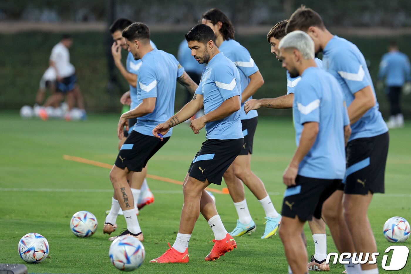 본문 이미지 - 루이스 수아레스를 비롯한 우루과이 축구대표팀 선수들이 2022 카타르 월드컵 조별리그 H조 1차전 한국과의 경기를 하루 앞둔 23일 오후(현지시간) 카타르 도하 알 에르살 트레이닝센터에서 훈련을 하고 있다. 2022.11.23/뉴스1 ⓒ News1 이광호 기자