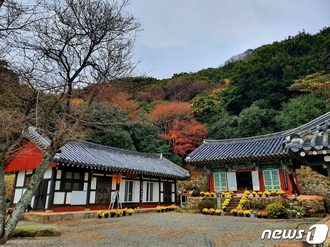 진불암. 절이라기 보다는 작은 공부방처럼 생겼다. 그렇게 단아하고 고요하다. 주변의 푸른 나무들은 동백나무.