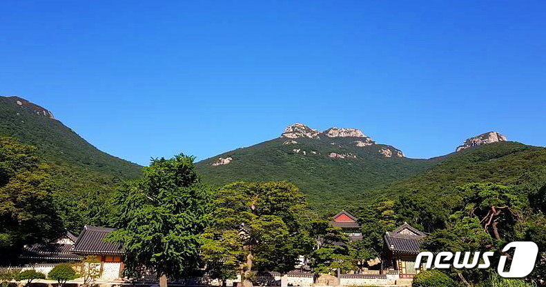 본문 이미지 - 여름의 두륜산과 대흥사. 두륜산의 바위봉우리들은 부처님이 누워있는 모습이다. 오른쪽 두륜봉은 머리, 가운데 가련봉과 노승봉은 배에 손을 얹은 모습, 왼쪽 고계봉은 발끝이다. 사진 대흥사 홈페이지.