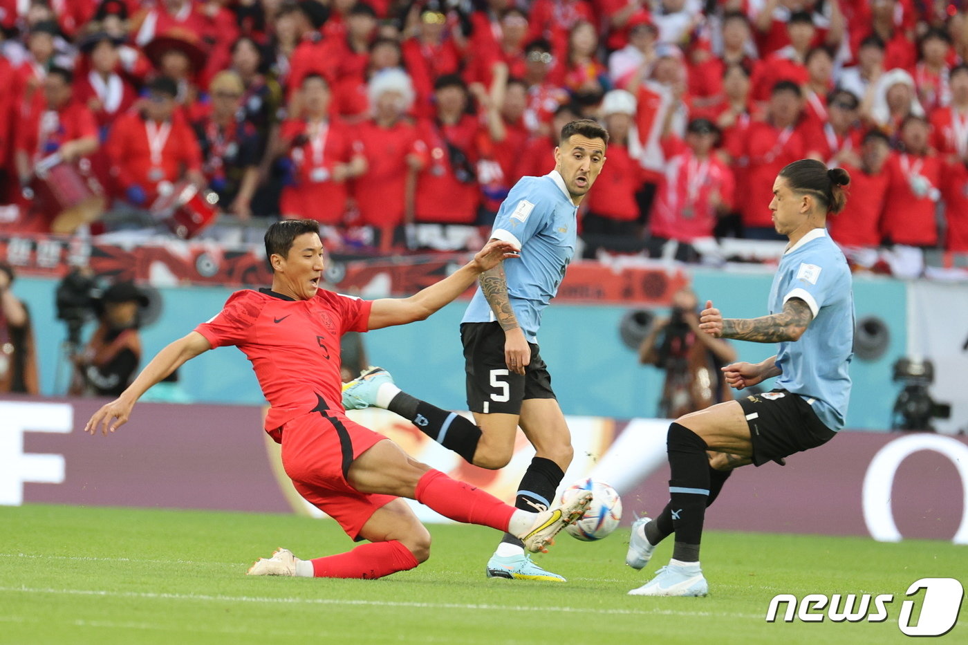 파울루 벤투 감독이 이끄는 대한민국 축구대표팀 정우영이 24일 오후&#40;현지시간&#41; 카타르 알라이얀 에듀케이션 시티 스타디움에서 열린 2022 카타르 월드컵 조별리그 H조 1차전 우루과이와의 경기에 상대 선수와 치열한 볼다툼을 벌이고 있다. 2022.11.24/뉴스1 ⓒ News1 이광호 기자