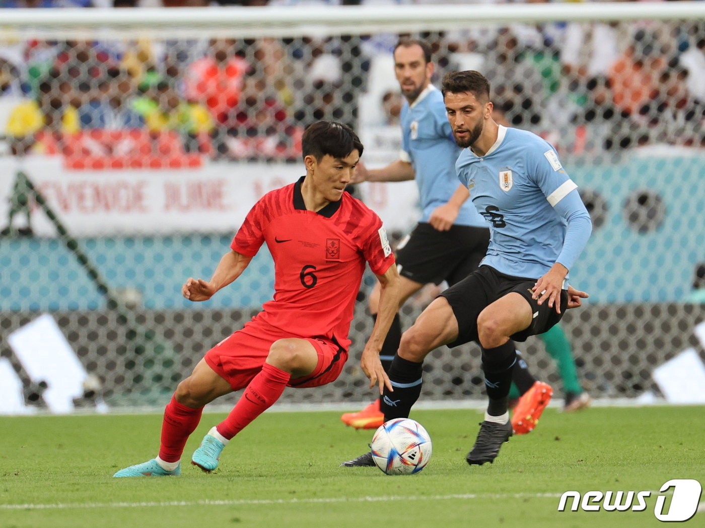 본문 이미지 - 황인범이 24일 오후&#40;현지시간&#41; 카타르 알라이얀 에듀케이션 시티 스타디움에서 열린 2022 카타르 월드컵 조별리그 H조 1차전 대한민국과 우루과이의 경기에서 따라 붙는 벤탄쿠르를 등진 채 패스할 곳을 찾고 있다. 2022.11.24/뉴스1 ⓒ News1 이광호 기자