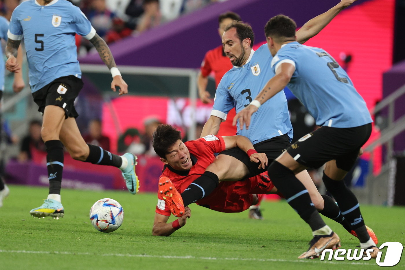 본문 이미지 - 24일 오후&#40;현지시간&#41; 카타르 알라이얀 에듀케이션 시티 스타디움에서 열린 2022 카타르 월드컵 조별리그 H조 1차전 대한민국-우루과이 경기에서 황의조와 고딘이 볼 경합을 벌이고 있다. 2022.11.24/뉴스1 ⓒ News1 이광호 기자