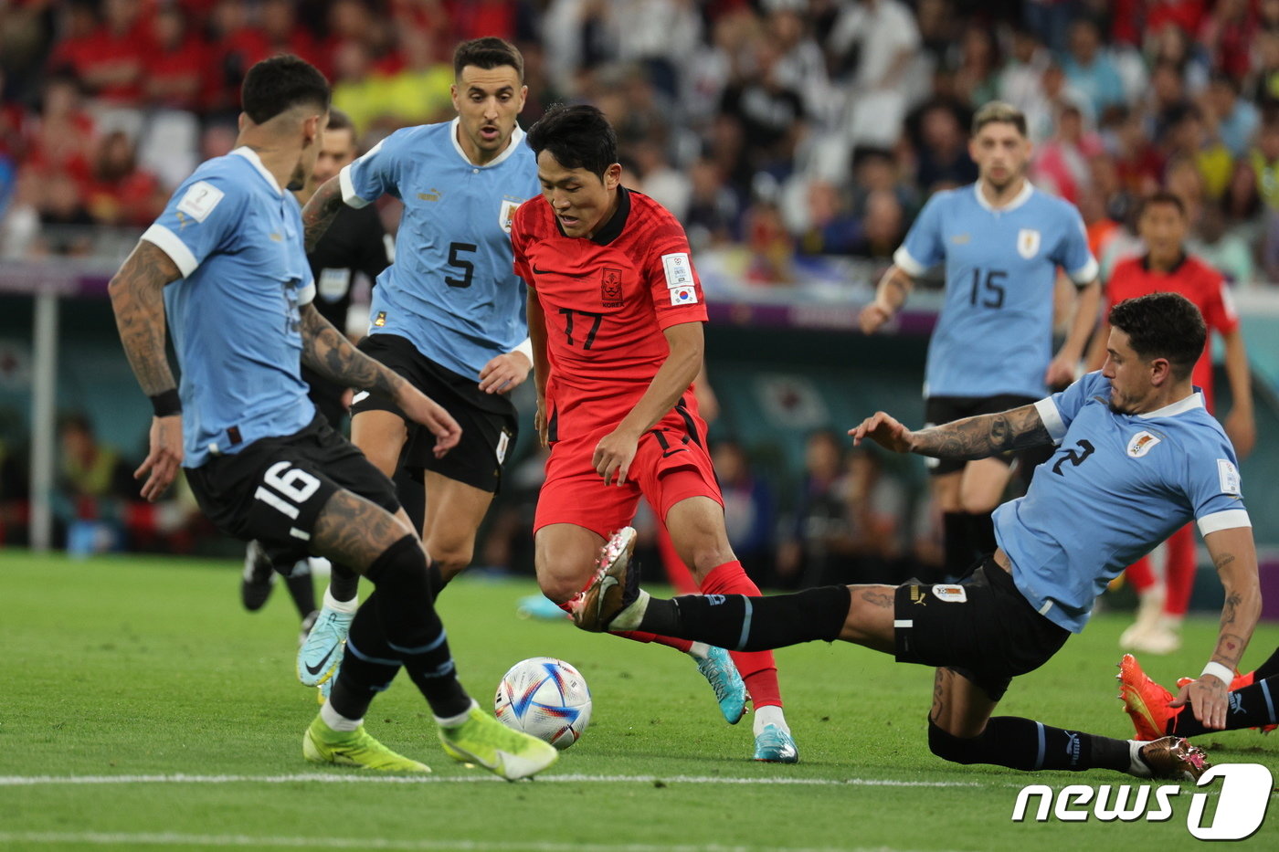 본문 이미지 - 나상호가 24일 오후&#40;현지시간&#41; 카타르 알라이얀 에듀케이션 시티 스타디움에서 열린 2022 카타르 월드컵 조별리그 H조 1차전 대한민국과 우루과이의 경기에서 상대 선수들과 볼다툼을 벌이고 있다. 2022.11.24/뉴스1 ⓒ News1 이광호 기자