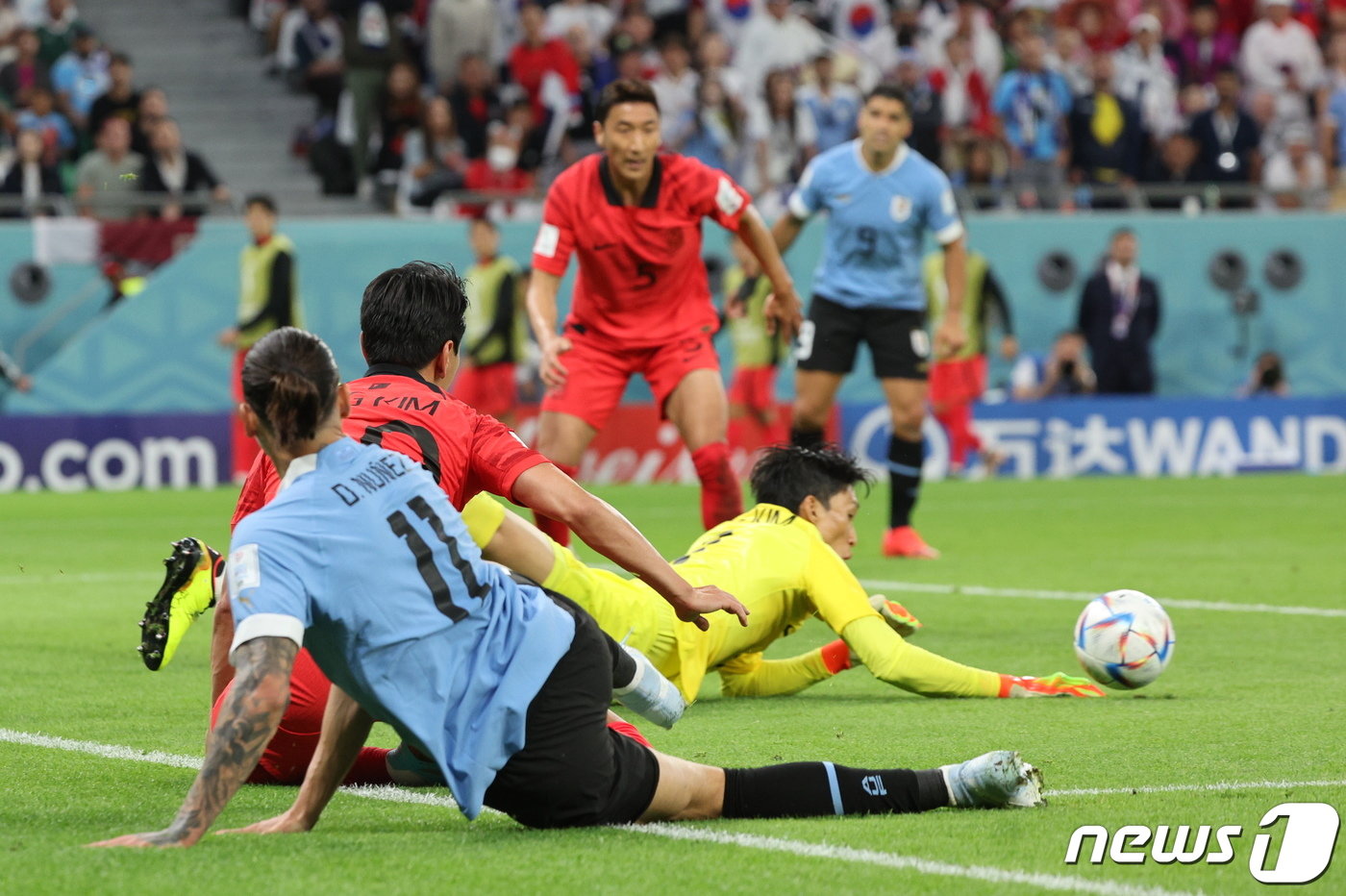 본문 이미지 - 24일 오후&#40;현지시간&#41; 카타르 알라이얀 에듀케이션 시티 스타디움에서 열린 2022 카타르 월드컵 조별리그 H조 1차전 대한민국과 우루과이의 경기에서 김승규가 누녜스의 크로스를 막아내고 있다. 2022.11.24/뉴스1 ⓒ News1 이동해 기자