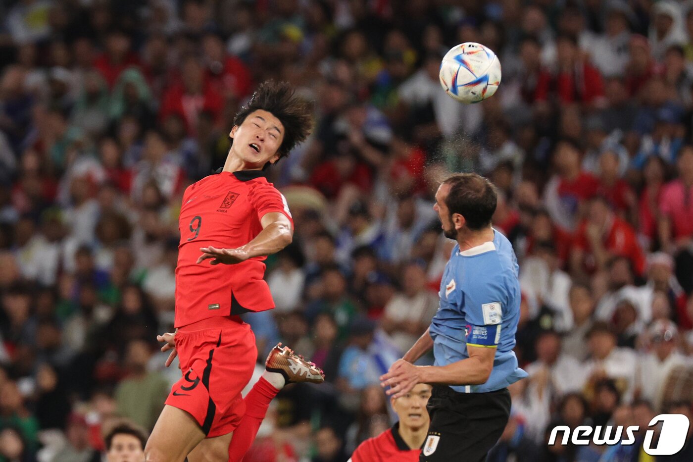 본문 이미지 - 조규성이 24일 오후(현지시간) 카타르 알라이얀 에듀케이션 시티 스타디움에서 열린 2022 카타르 월드컵 조별리그 H조 1차전 대한민국과 우루과이의 경기에서 공중볼경합을 하고 있다. 2022.11.25/뉴스1 ⓒ News1 이광호 기자