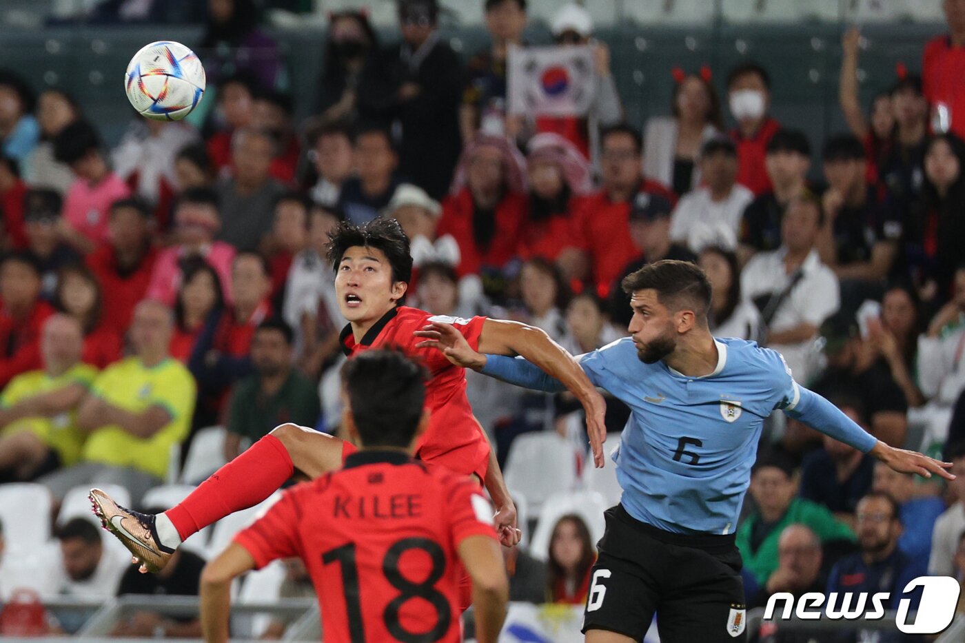본문 이미지 - 조규성이 24일 오후(현지시간) 카타르 알라이얀 에듀케이션 시티 스타디움에서 열린 2022 카타르 월드컵 조별리그 H조 1차전 대한민국과 우루과이의 경기에서 공중볼경합을 벌이고 있다. 2022.11.25/뉴스1 ⓒ News1 이광호 기자