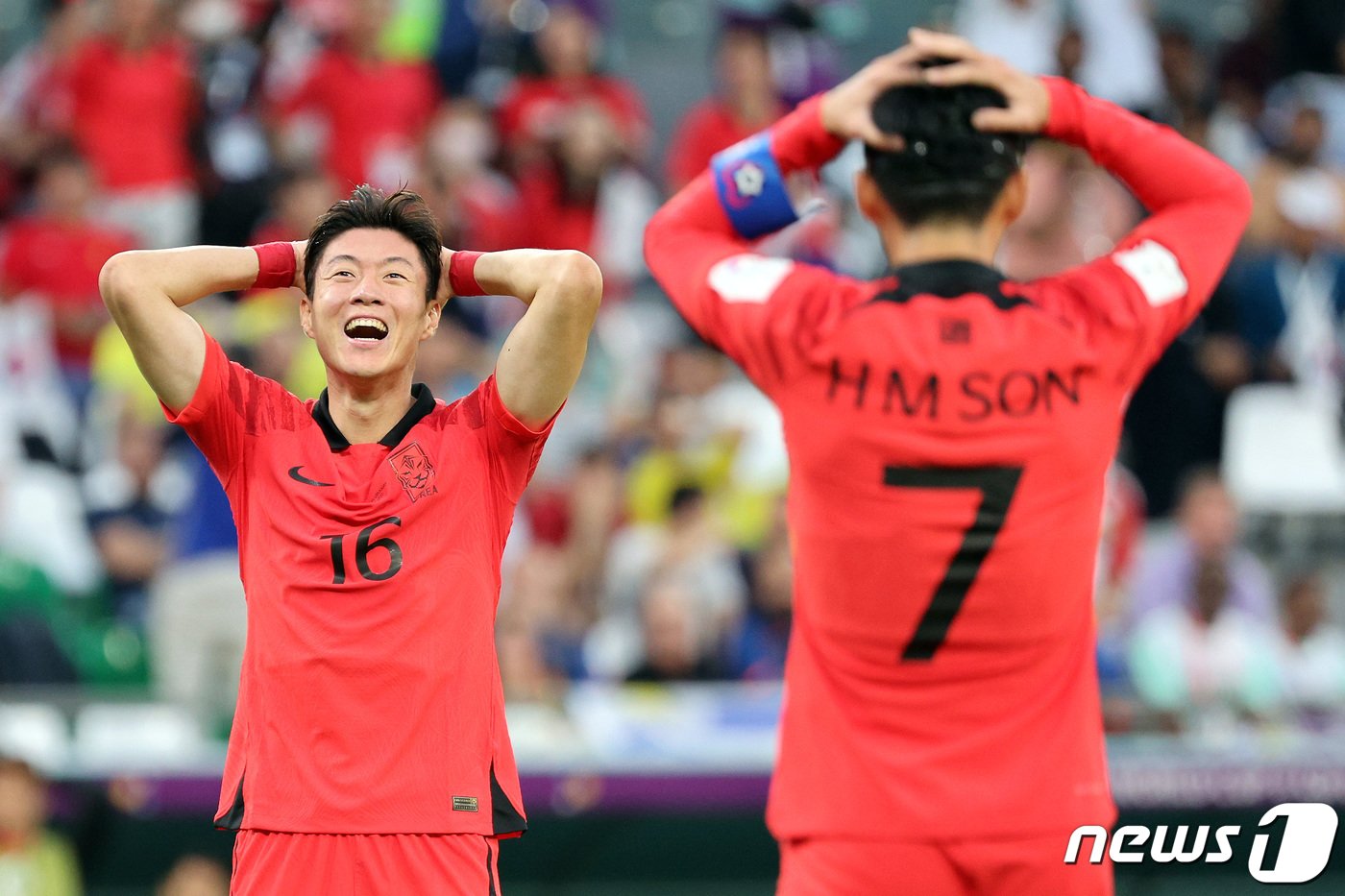 본문 이미지 - 황의조가 24일 오후&#40;현지시간&#41; 카타르 알라이얀 에듀케이션 시티 스타디움에서 열린 2022 카타르 월드컵 조별리그 H조 1차전 대한민국과 우루과이의 경기 전반전에서 찬스를 놓친 뒤 아쉬워하고 있다. 이날 경기는 득점 없이 0대 0 무승부로 마쳤다. 2022.11.25/뉴스1 ⓒ News1 이동해 기자