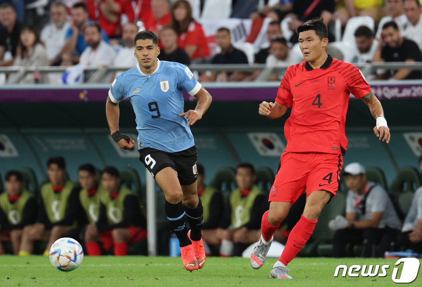 본문 이미지 - 김민재가 24일 오후&#40;현지시간&#41; 카타르 알라이얀 에듀케이션 시티 스타디움에서 열린 2022 카타르 월드컵 조별리그 H조 1차전 대한민국과 우루과이의 경기에서 패스를 하고 있다. 2022.11.25/뉴스1 ⓒ News1 이광호 기자