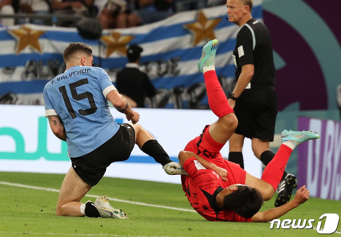 본문 이미지 - 24일 오후(현지시간) 카타르 알라이얀 에듀케이션 시티 스타디움에서 열린 2022 카타르 월드컵 조별리그 H조 1차전 대한민국과 우루과이의 경기에서 이강인이 발베르데의 반칙성 태클에 넘어지고 있다. 이날 경기는 득점 없이 0대 0 무승부로 마쳤다. 2022.11.25/뉴스1 ⓒ News1 이동해 기자