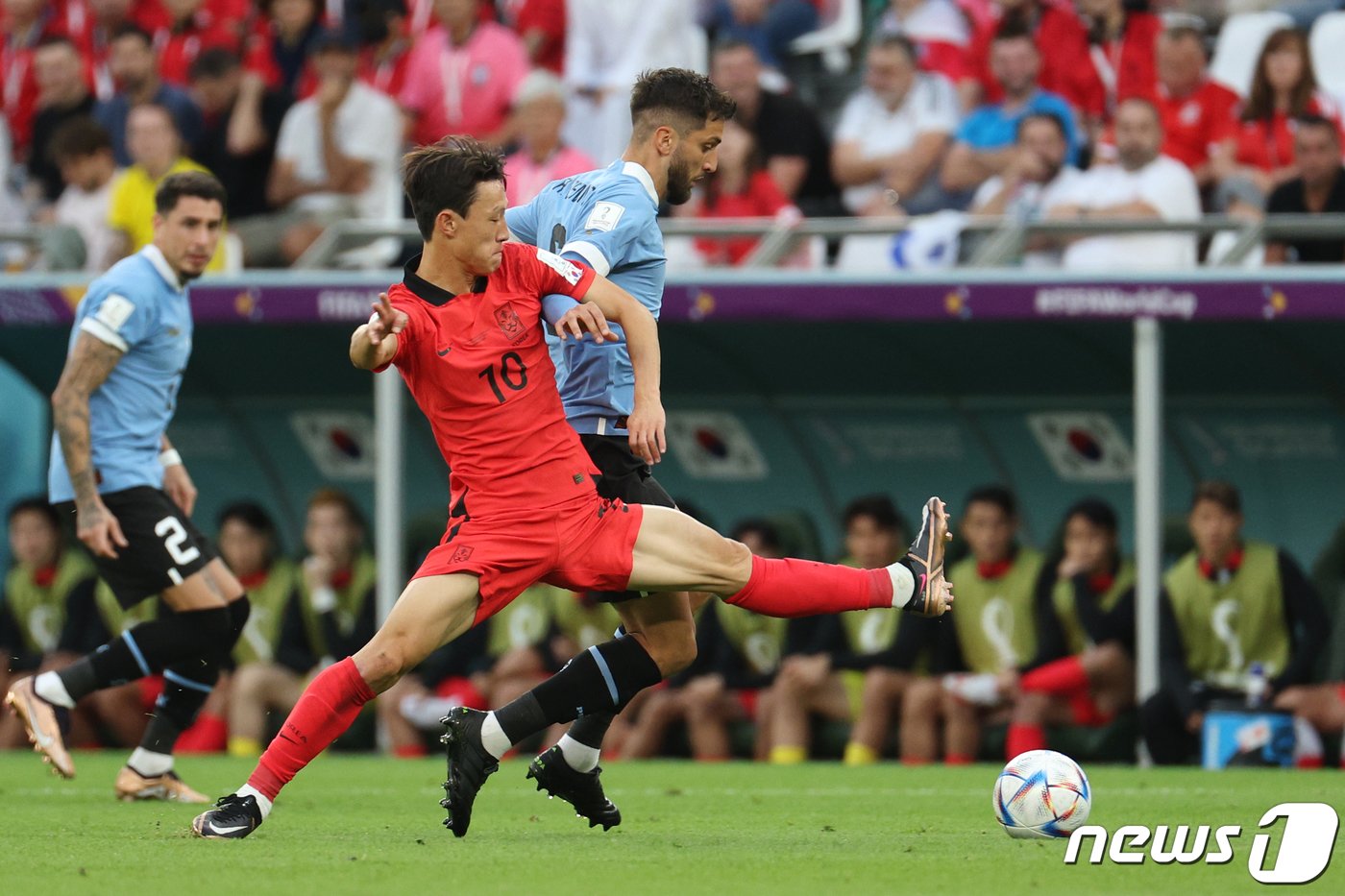 본문 이미지 - 이재성이 24일 오후&#40;현지시간&#41; 카타르 알라이얀 에듀케이션 시티 스타디움에서 열린 2022 카타르 월드컵 조별리그 H조 1차전 대한민국과 우루과이의 경기에서 볼다툼을 하고 있다. 2022.11.25/뉴스1 ⓒ News1 이광호 기자